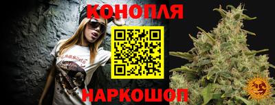 МДПВ Партизанск