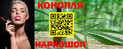 МДПВ Партизанск