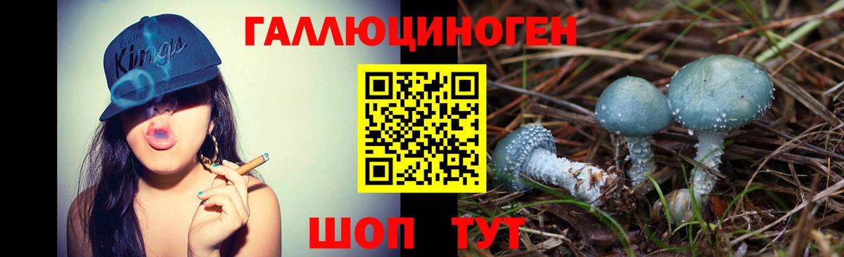 Псилоцибиновые грибы прущие грибы Родники